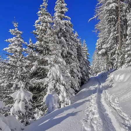 Huettl By Interhome *